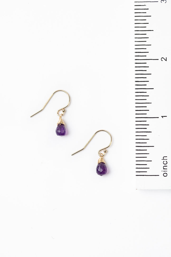 Birthstone February Gold Amethyst Briolette Earrings