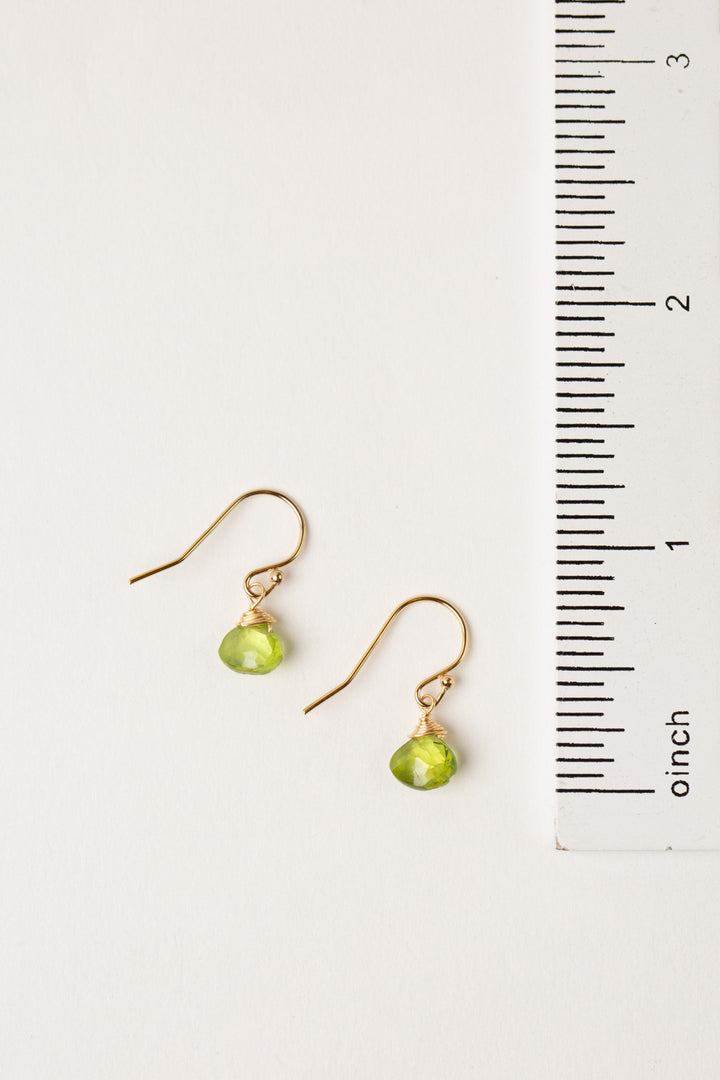 Birthstone August Gold Peridot Briolette Earrings