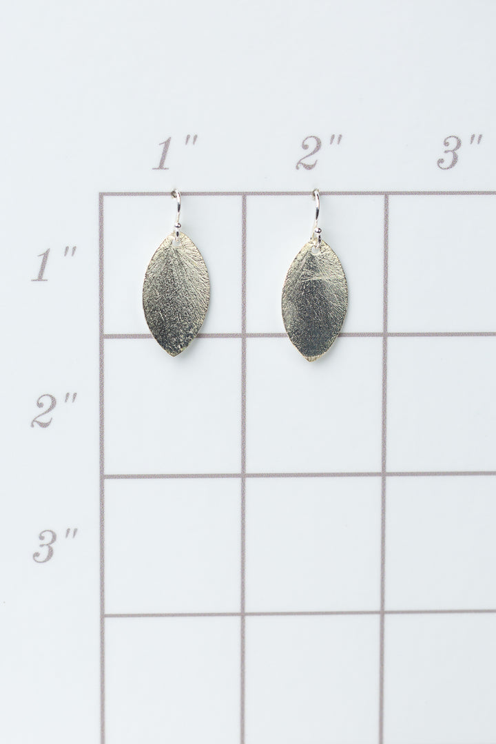Brushed Silver Oval Earrings