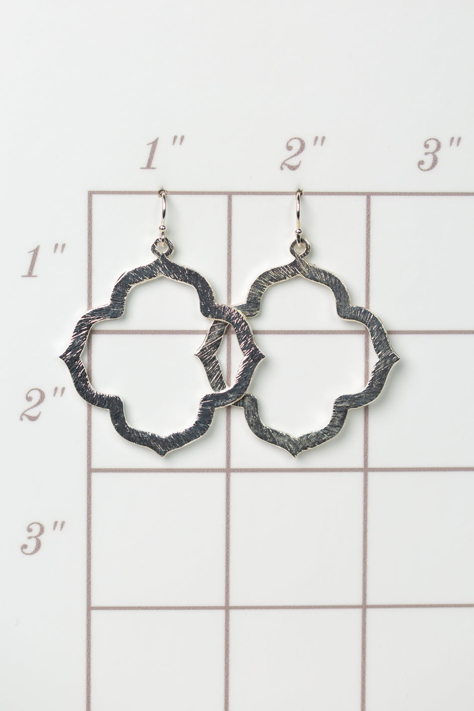 Brushed Silver Earrings