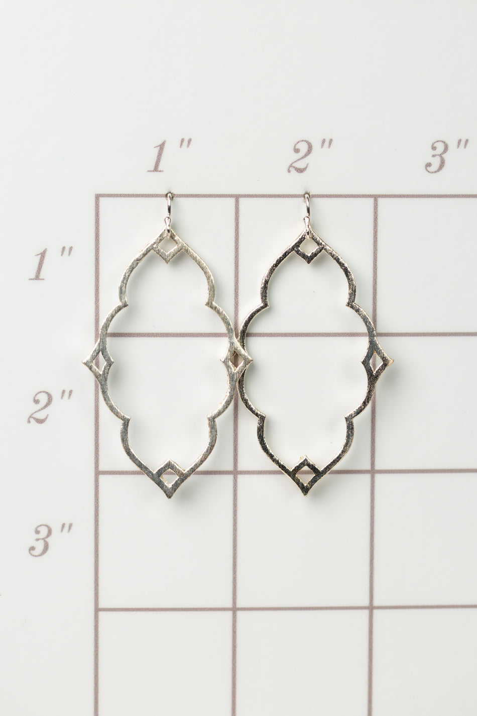 Brushed Silver Elegant Statement Earrings