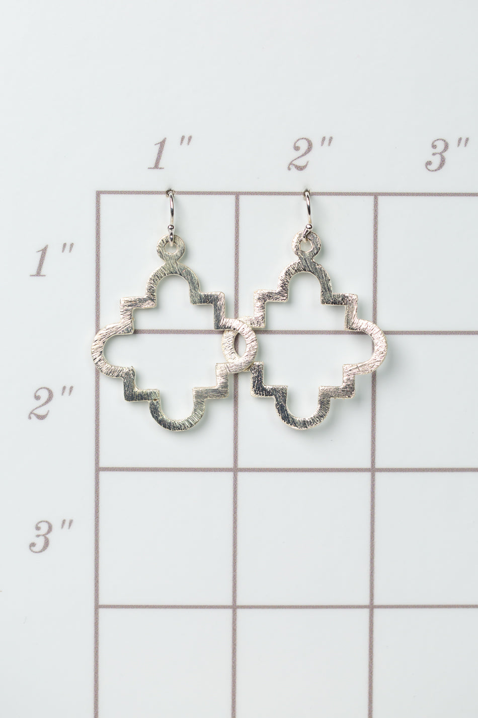 Brushed Silver Earrings