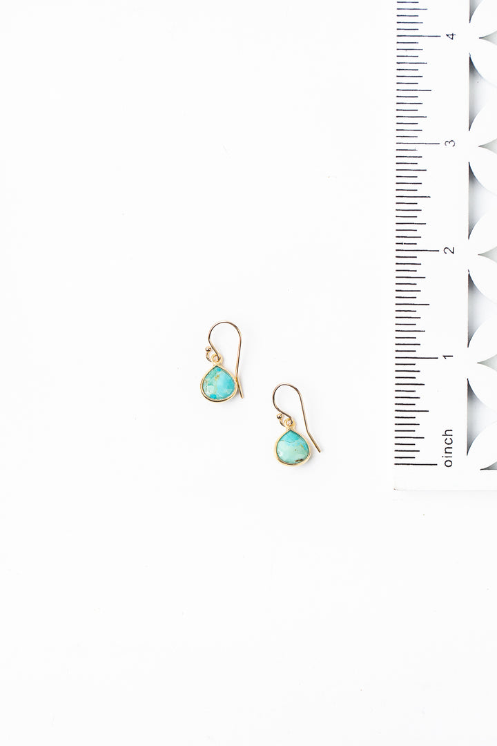 Favorites Turquoise Simple Earrings