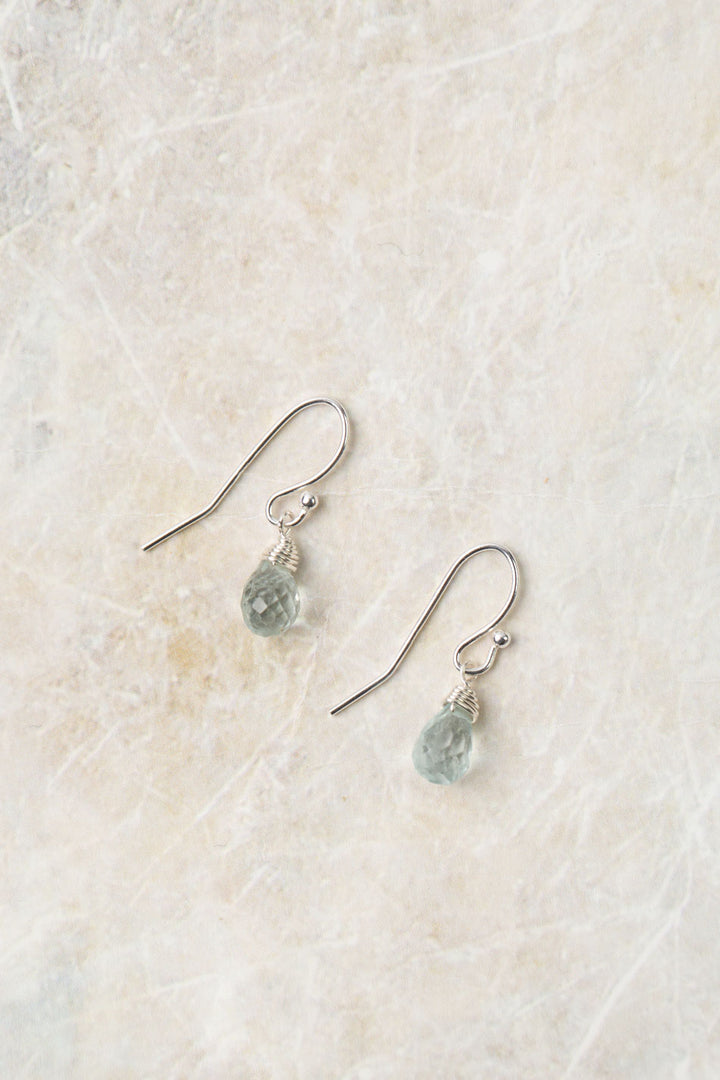 Birth Flower March Aquamarine Earrings