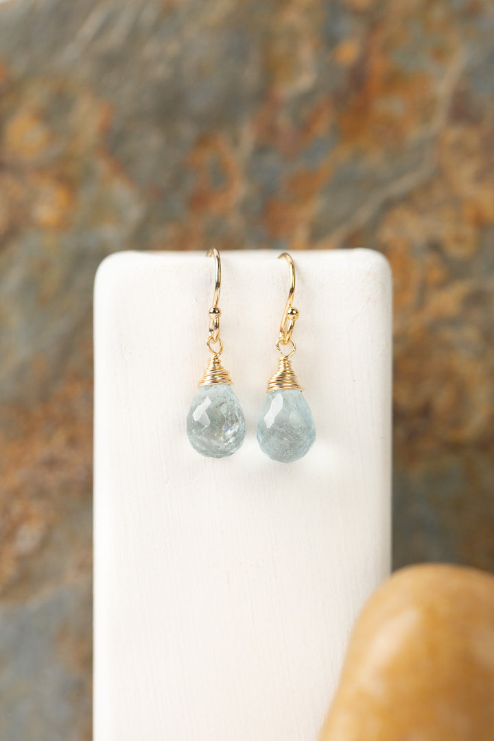 Birthstone March Gold Aquamarine Simple Earrings