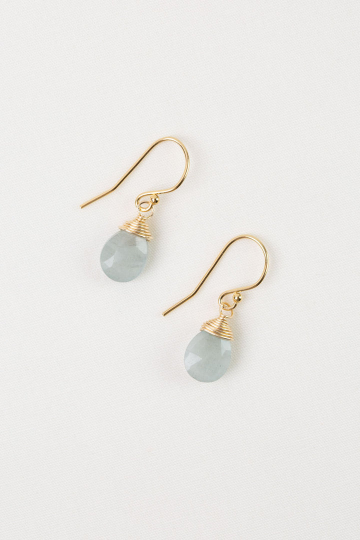 Birthstone March Gold Aquamarine Simple Earrings
