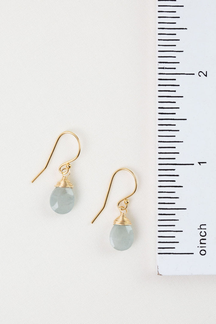 Birthstone March Gold Aquamarine Simple Earrings