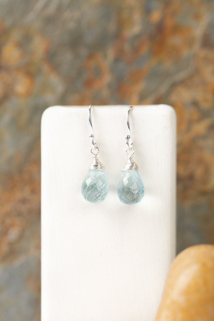 Birthstone March Silver Aquamarine Simple Earrings