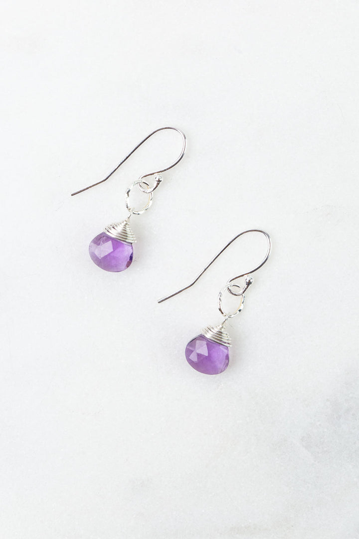Birthstone February Silver Amethyst Simple Earrings