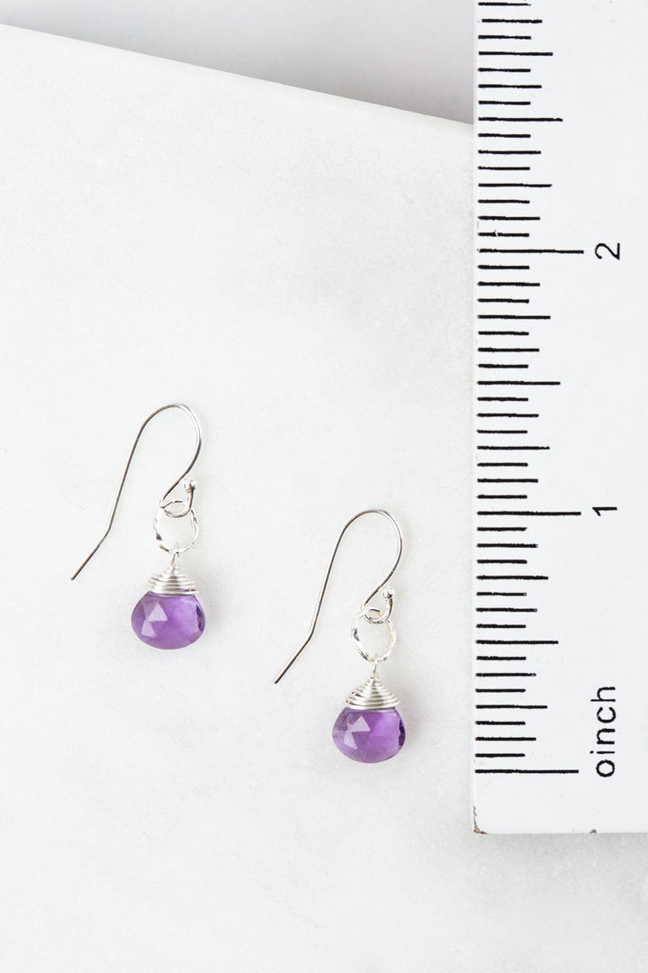 Birthstone February Silver Amethyst Simple Earrings