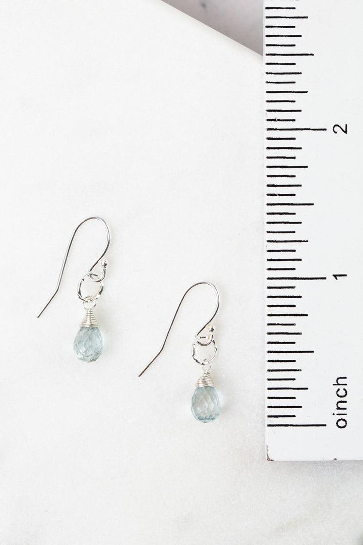 Birthstone March Silver Aquamarine Simple Earrings