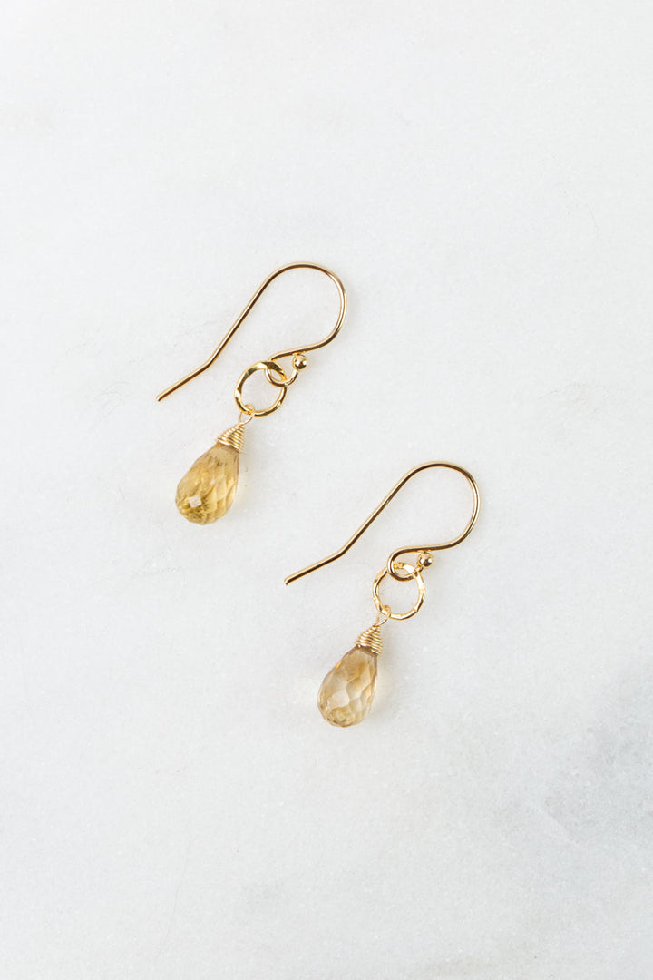 Birthstone November Silver Citrine Simple Earrings