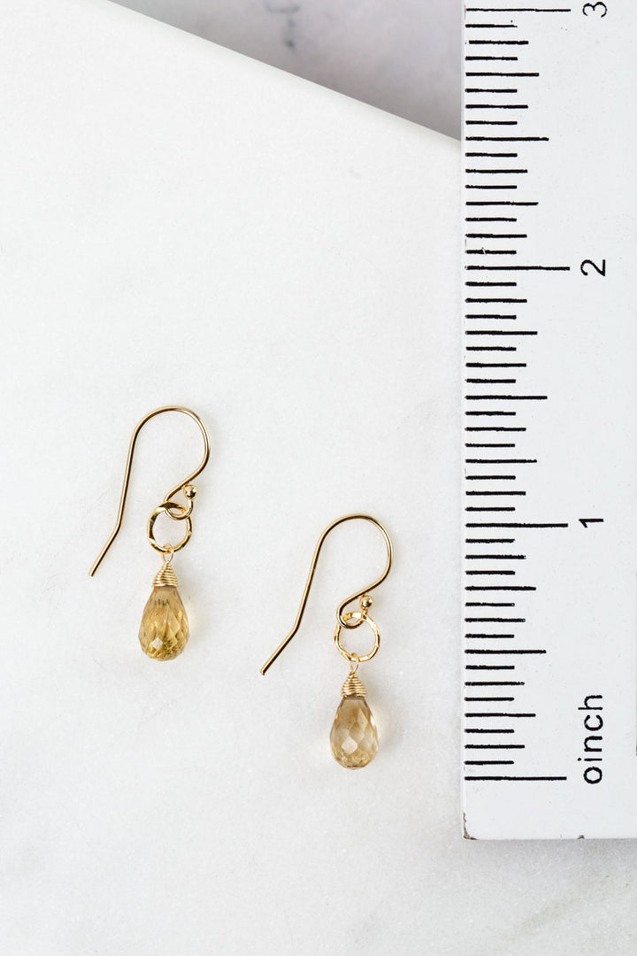 Birthstone November Silver Citrine Simple Earrings