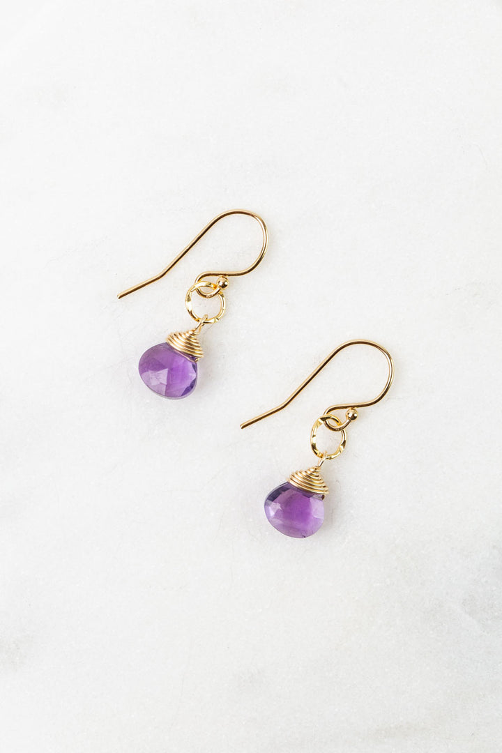 Birthstone February Gold Amethyst Simple Earrings