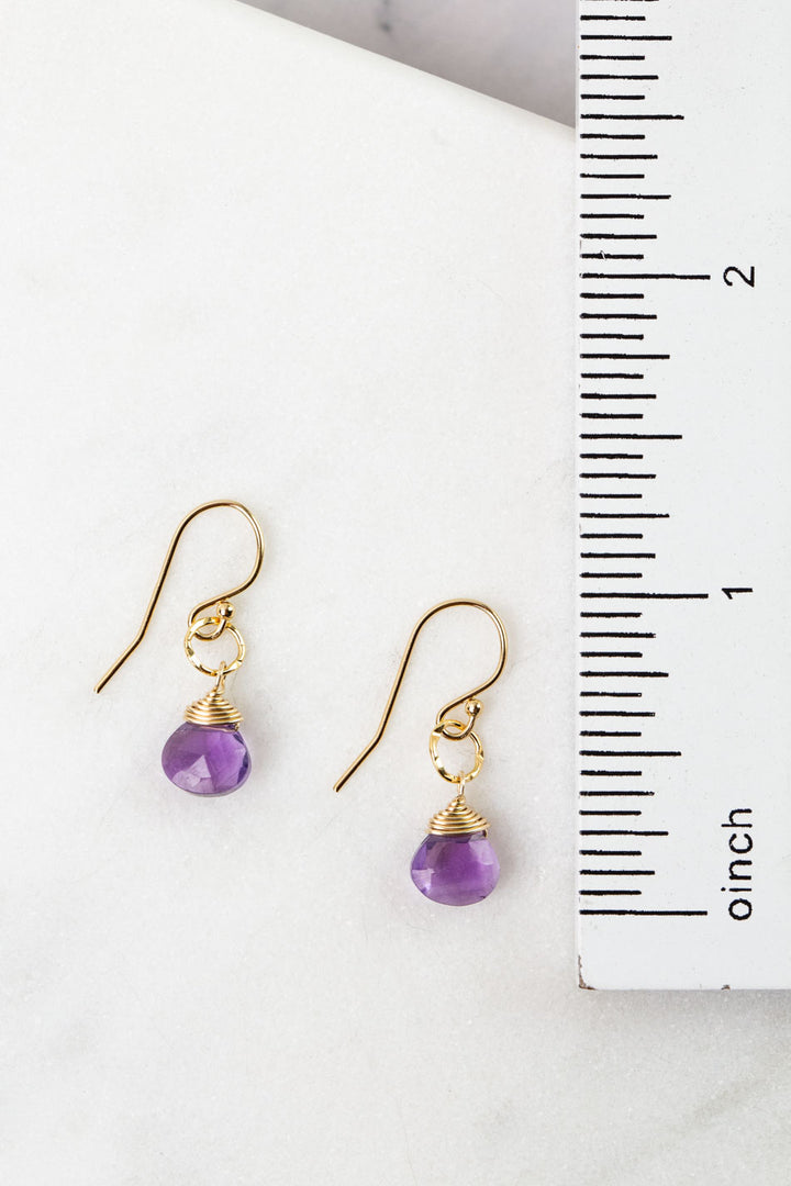 Birthstone February Gold Amethyst Simple Earrings