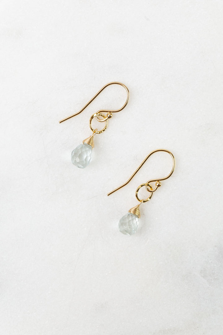 Birthstone March Gold Aquamarine Simple Earrings