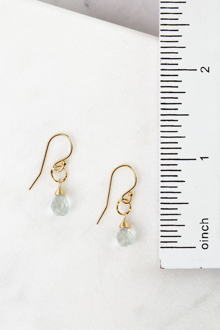 Birthstone March Gold Aquamarine Simple Earrings