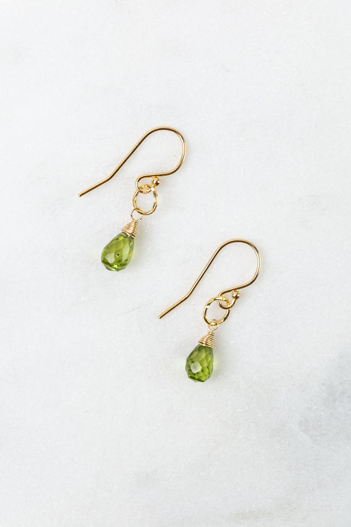 Birthstone August Gold Peridot Simple Earrings