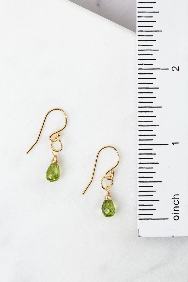 Birthstone August Gold Peridot Simple Earrings