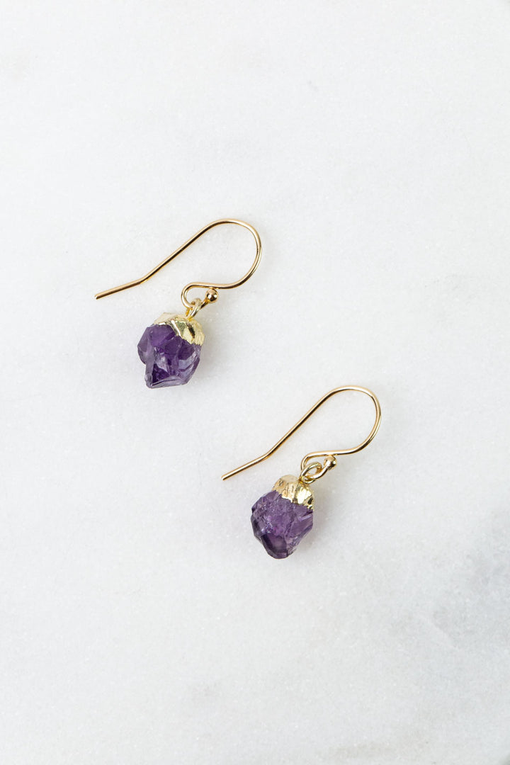Birthstone February Amethyst Simple Earrings