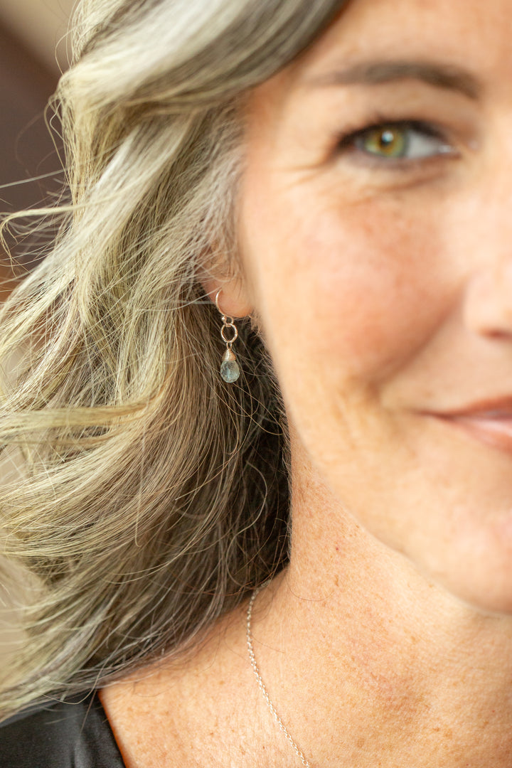 Birthstone March Silver Aquamarine Simple Earrings