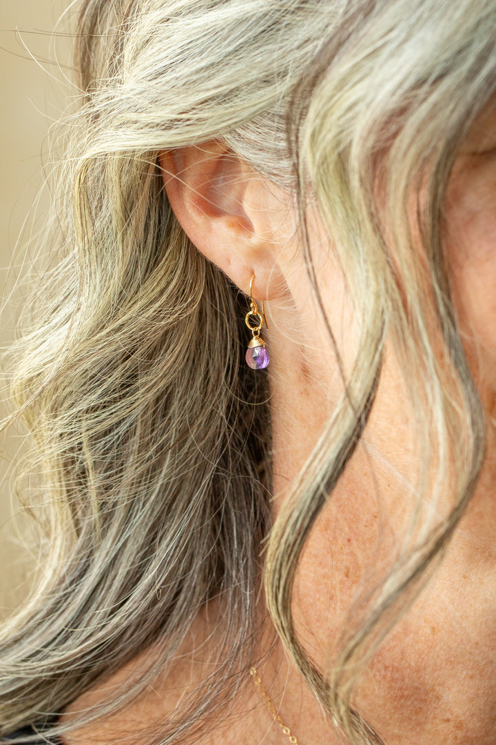 Birthstone February Gold Amethyst Simple Earrings