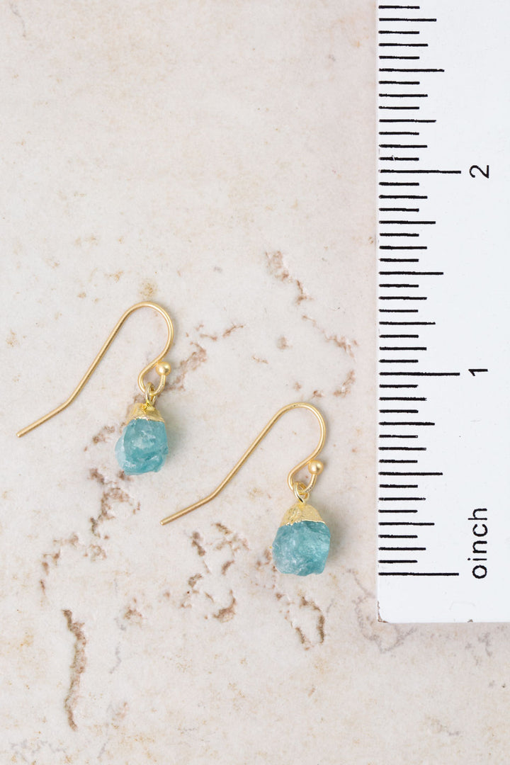 Farmers Market Apatite Simple Earrings