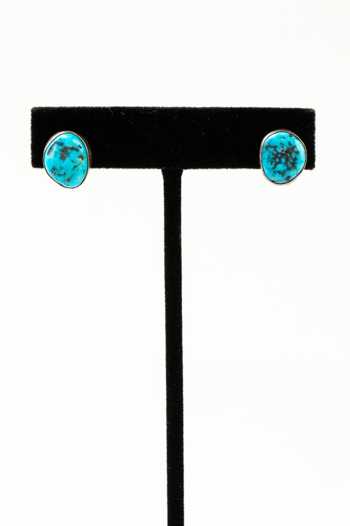 LK 24.5" Navajo Turquoise Statement Necklace And Earring Set