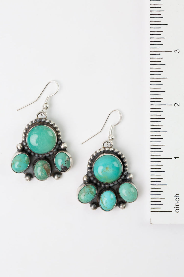 Wilson Dawes Royston Ribbon Turquoise and Sterling Silver 20" Necklace and Dangle Earrings