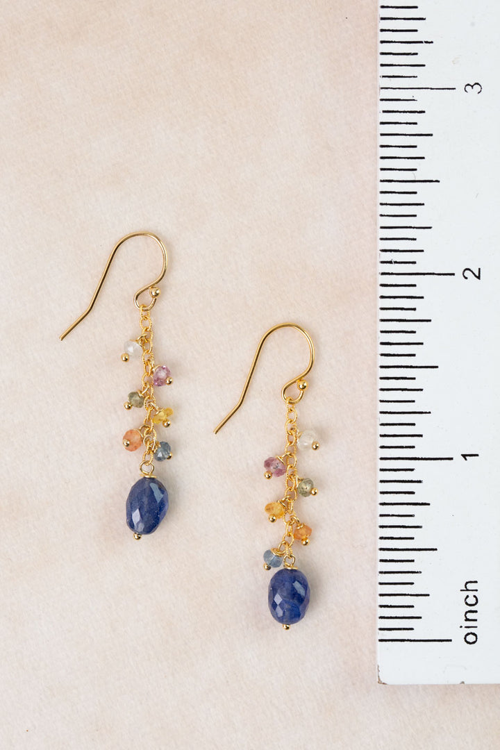 One Of A Kind Sapphire Dangle Earrings