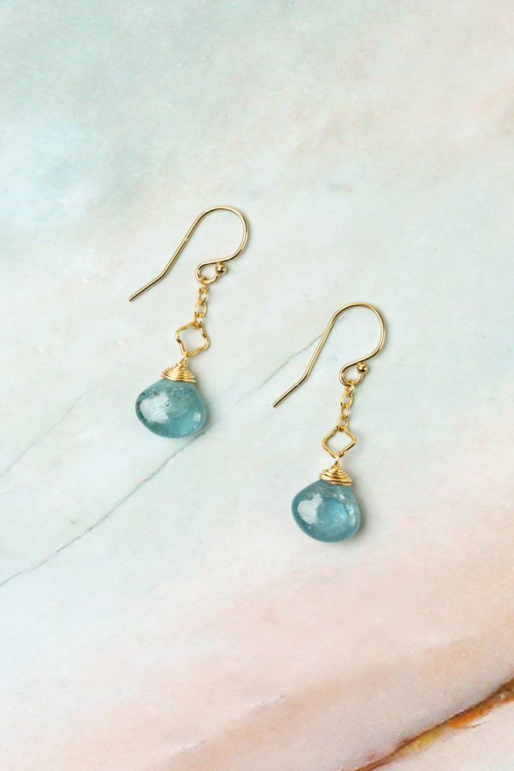 Ocean Waves Kyanite Dangle Earrings