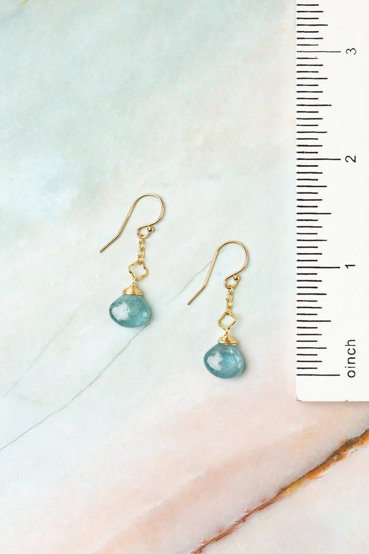 Ocean Waves Kyanite Dangle Earrings