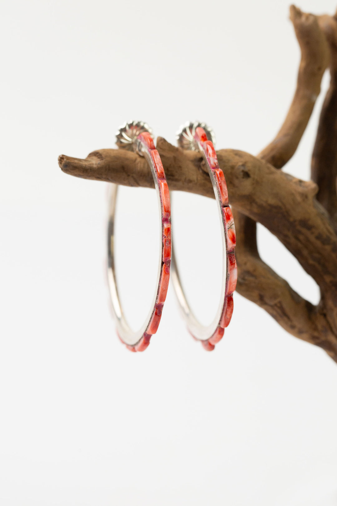 Federico Spiny Oyster Hoop Earrings