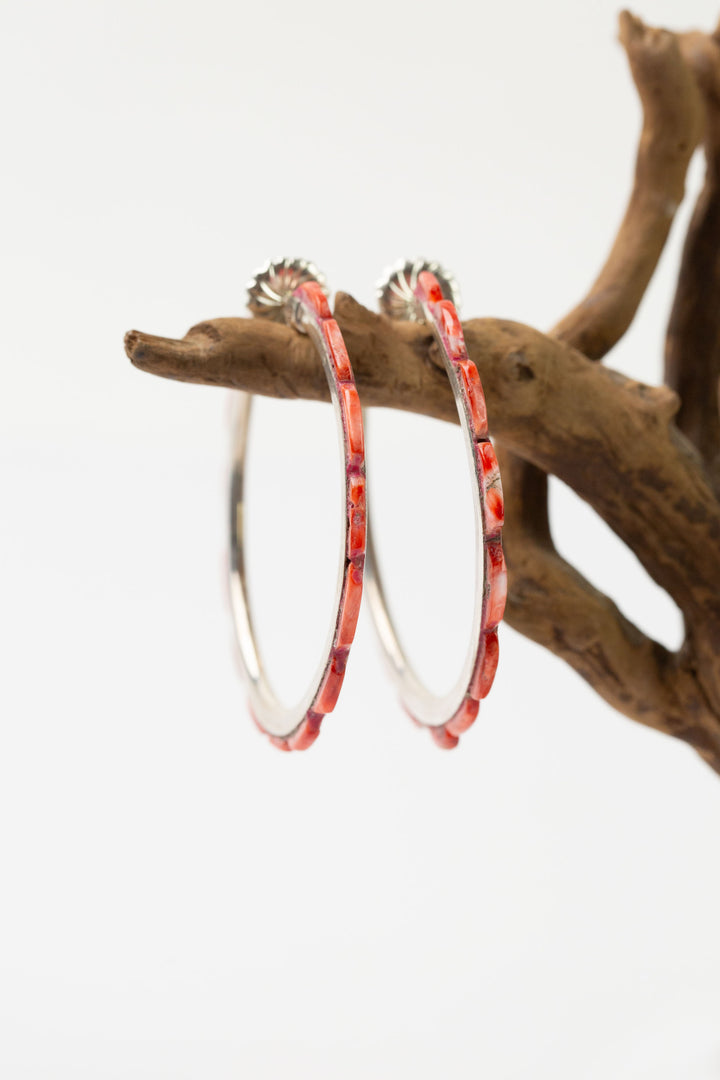 Federico Spiny Oyster Hoop Earrings