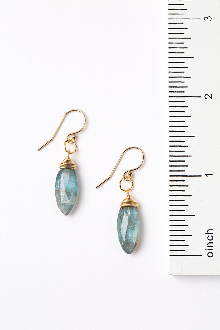 Ripple Gold With Kyanite Dangle Earrings