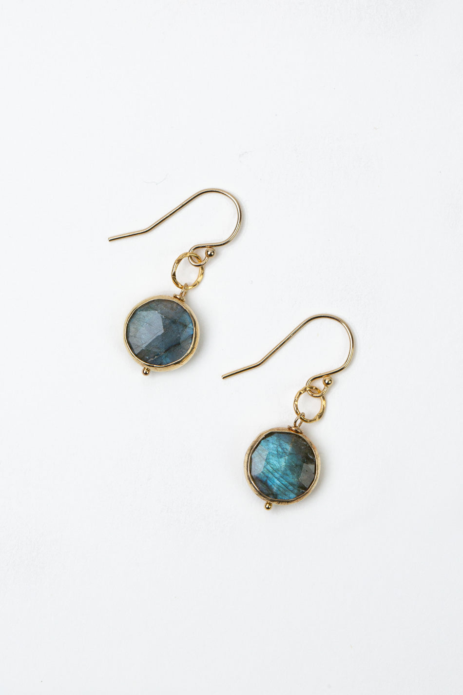 Blue Moon Labradorite Coin Shaped Bezel With Hammered Circle Simple Earrings