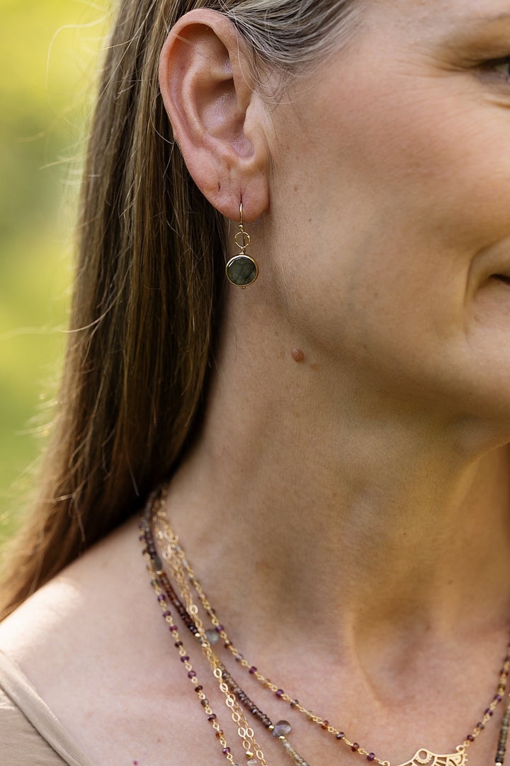 Blue Moon Labradorite Coin Shaped Bezel With Hammered Circle Simple Earrings