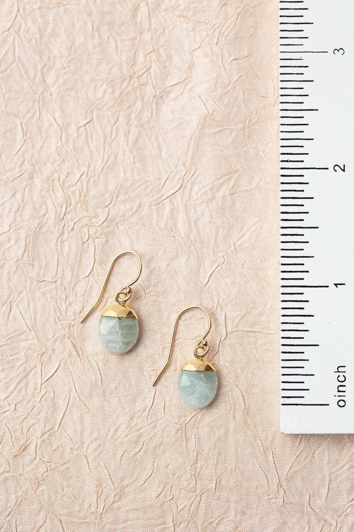 Serenity Faceted Aquamarine Simple Earrings