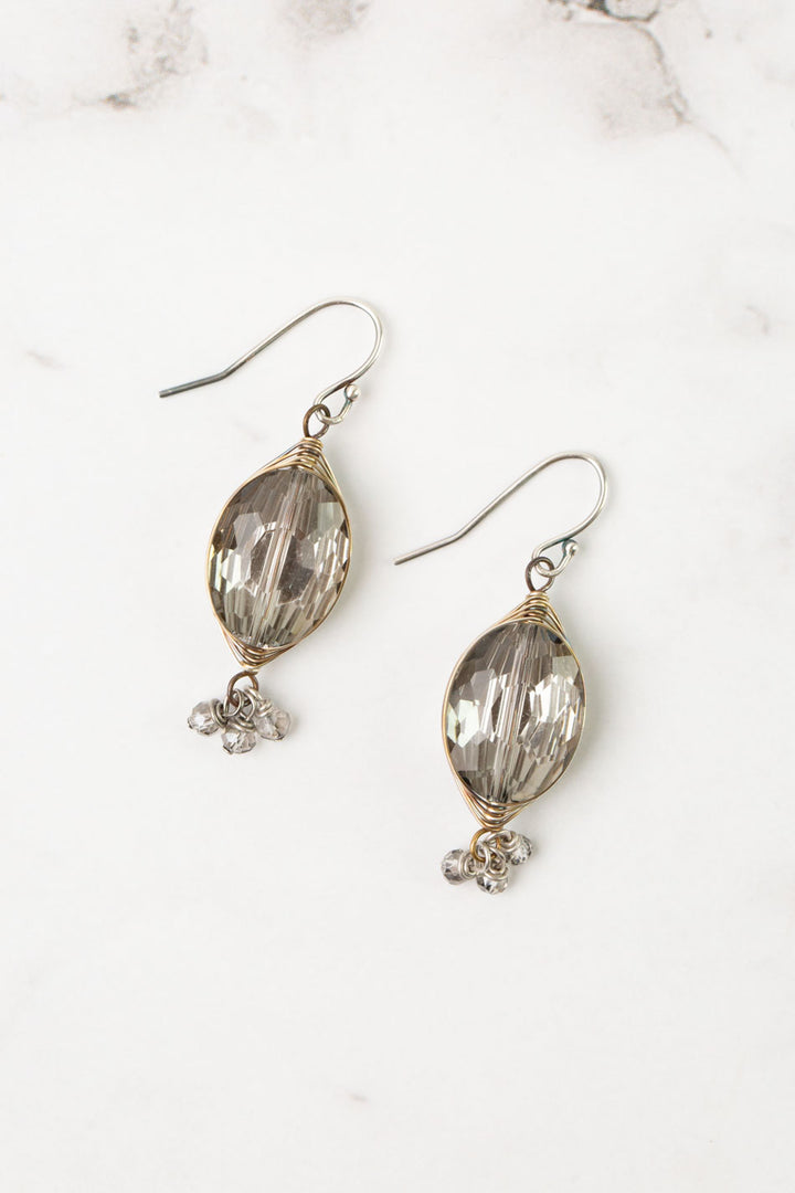 Silver & Gold Crystal Herringbone Earrings