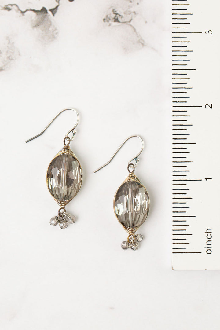 Silver & Gold Crystal Herringbone Earrings
