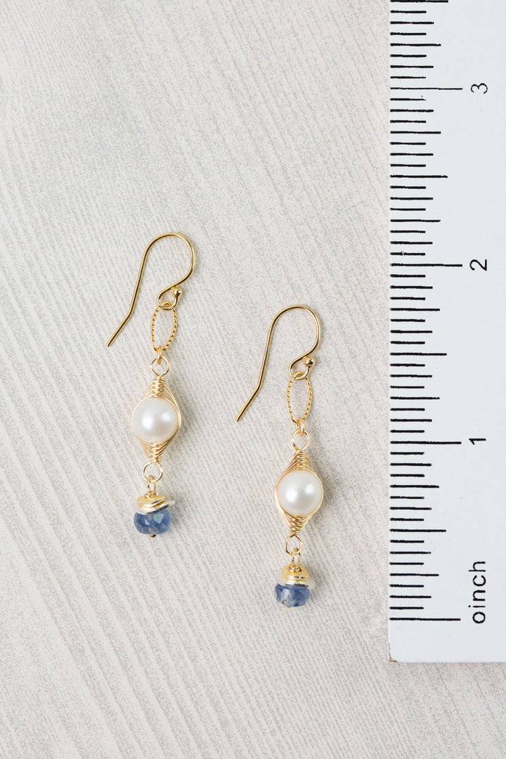Seaside Iolite Herringbone Earrings