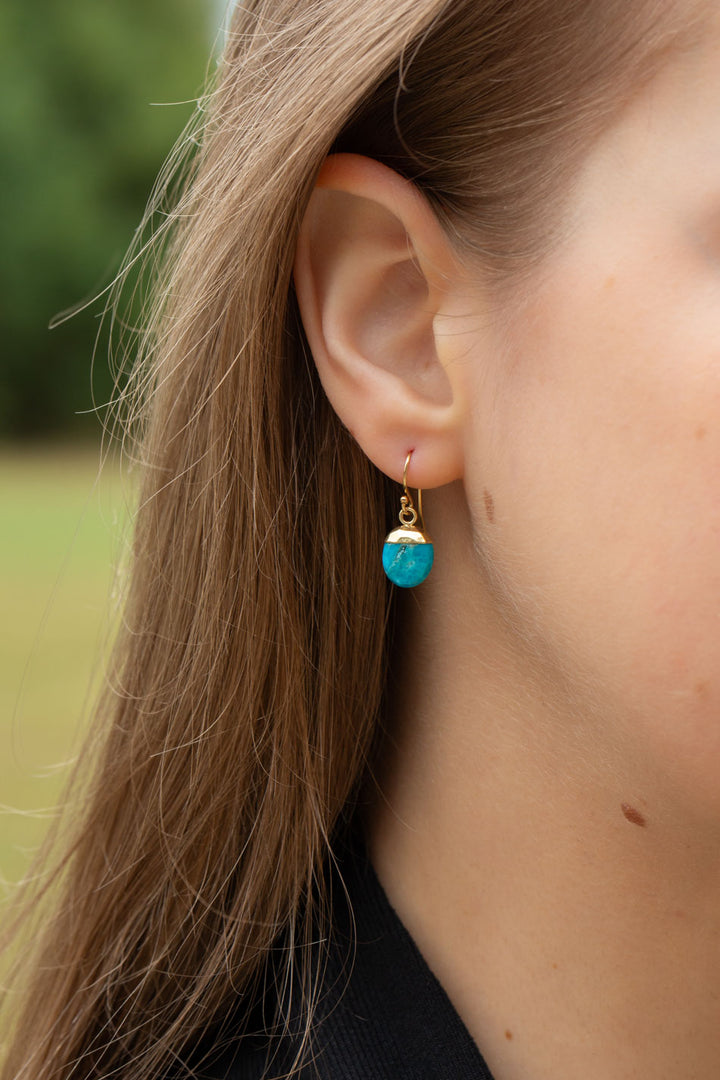 Favorites Turquoise Simple Earrings