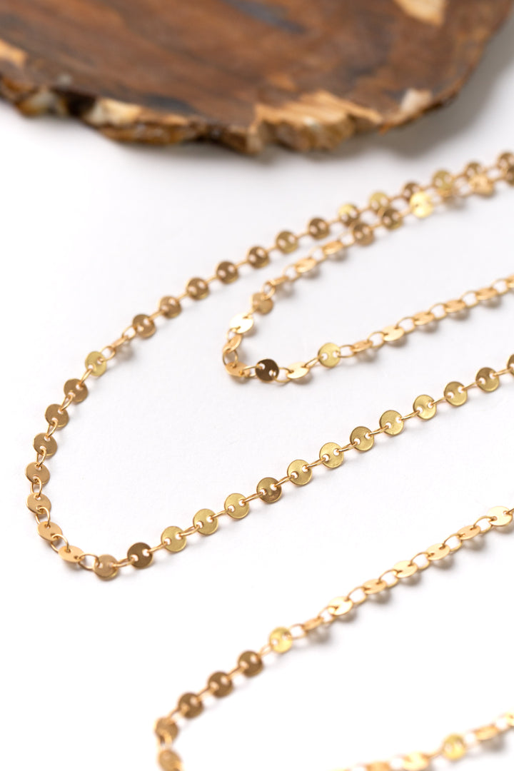 Bergamot 47.5-49.5" Simple Gold Disc Necklace