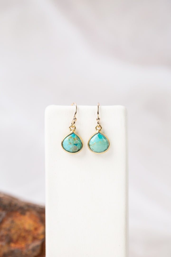 Favorites Turquoise Simple Earrings